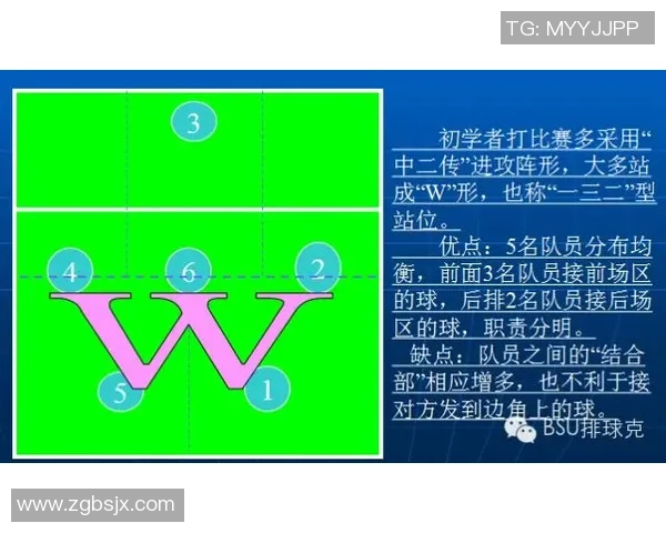 排球盛宴:深入解析西安排球队的快速战术与技巧 排球盛宴:深入解析西安排球队的快速战术与技巧