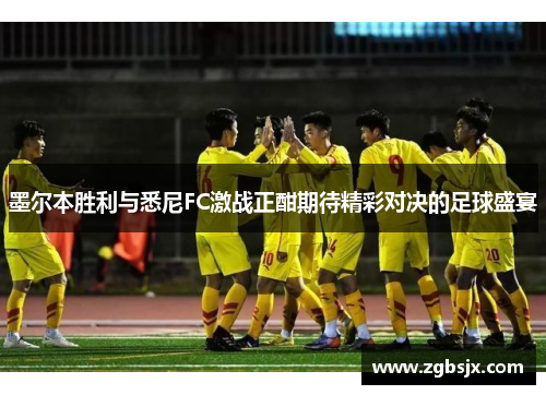 墨尔本胜利与悉尼FC激战正酣期待精彩对决的足球盛宴